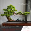 Ornatos Zen de Pinheiro de Boas-Vindas Simulados Nova Chinoiserie Casa Plantas Verdes Bonsai Flores Artificiais Hotel Sala de Estar Decorações de Entrada