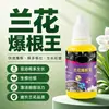 Rey de Enraizamiento de Orquídeas Agente Enraizante Tipo Spray Agente Enraizante Fuerte Fortalece Raíces Florece Raíces Protege Raíces Promueve Flores Nutre Raíces Específico para Orquídeas