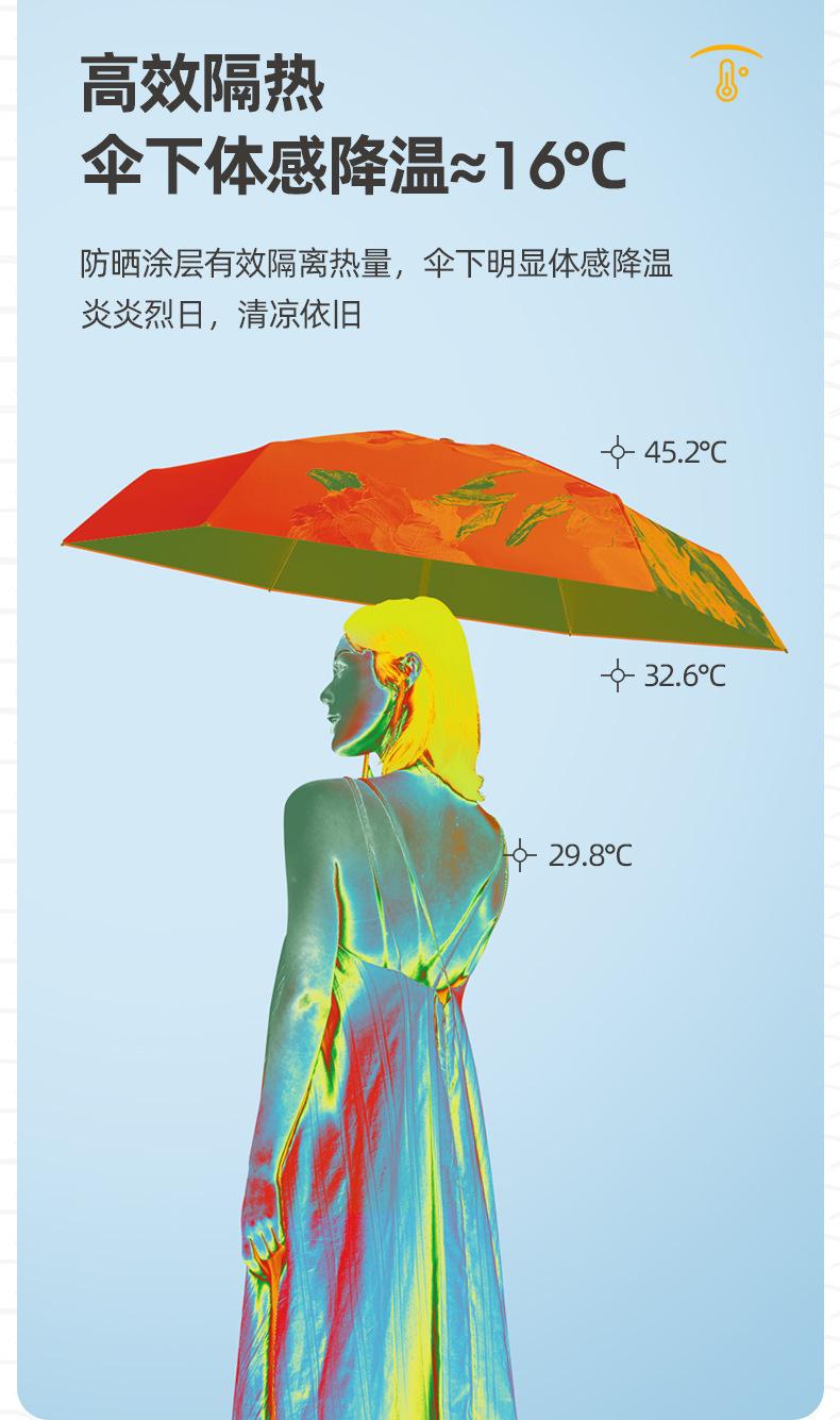 花五折扁伞_14