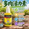 Estimulador de Vitalidad Específico para Suculentas Solución Nutritiva para el Crecimiento de Plantas Potting para Suculentas Mejora del Color Promoción de Brotes Brotación Agente para Raíces Fuertes Plántula Fuerte