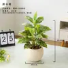Planta Verde Artificial Macetas para Oficina, Sala de Estar de Alta Gama Decoraciones de Mesa Interiores, Plantas y Flores Artificiales, Accesorios para Fotografía