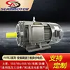 A Hebei Xima Electric Machinery produz Yvfe2 sob encomenda (Yvp) Motor assíncrono trifásico de regulação de velocidade de frequência variável de 2/4/6/8 polos