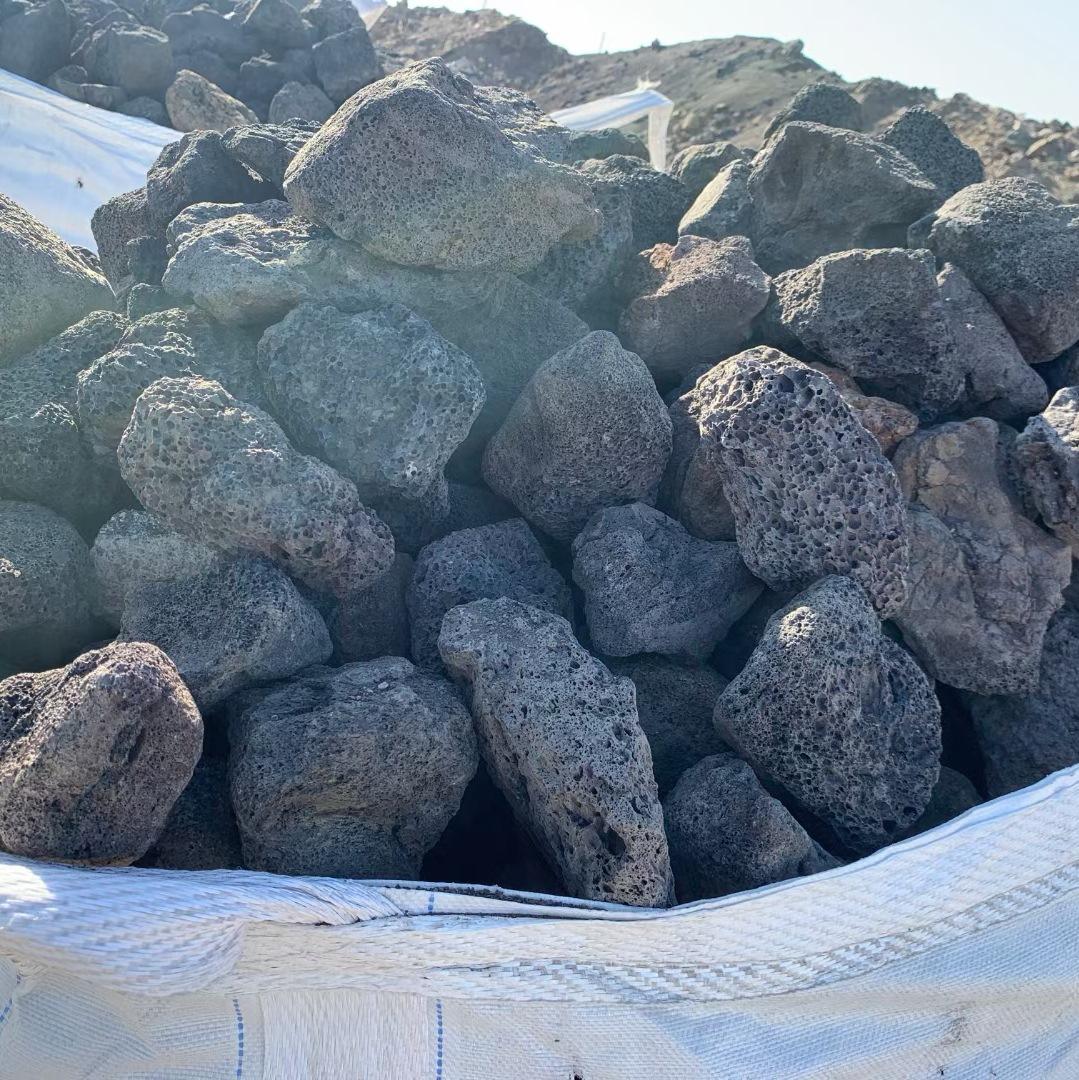 mmexport1614426865431_edit_534