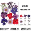 Marcapáginas de flores secas especímenes colección de primavera en botella de película plástica materiales hechos a mano para manualidades estudiantes de primaria flores transparentes
