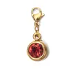 Colgante de Piedra de Nacimiento de Diciembre de Acero Inoxidable de Alta Gama para Collar DIY, Nicho Transfronterizo Europeo y Americano, 6mm