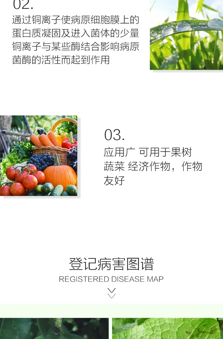 波尔多液_03.jpg