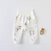 Pantalones de Puro Algodón de Cintura Alta para Protección de Vientre para Hombres y Mujeres, Ropa Interior Larga Ajustada de Primavera y Otoño, Pantalones para Recién Nacidos, Pantalones de Capa Base, Pantalones de Glúteos Clase A