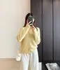 Hong Kong e Americano Roupas/Suéter de Lã Fleece Cashmere Manga Longa Tricô Cardigan Peça de Roupa Camada Base Top Outono