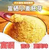 Listo para comer germen de trigo cocido desayuno instantáneo sustituto de comida bebida germen de trigo dorado auténtico enriquecido con selenio