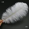 30-35cm Plumas de Avestruz Lámpara de Plumas Arreglo Floral de Plumas de Avestruz Plumas de Boda