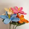 Flor de Tulipan Terminada Transfronteriza Flor Tejida a Mano Flor de Lana al por Mayor Ramo de Flores Regalo Creativo Regalo del Día de la Madre