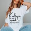 Camiseta holgada de manga corta para mujer, de comercio exterior, de algodón de Amazon, tallas europeas y americanas.