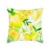 Nueva serie simple de limón almohada interior pequeña fresca sofá mesita de noche oficina almohada para siesta primera generación de pelo