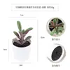 Más de 100 Tipos de Combinaciones de Plantas Suculentas Mini de Plástico Simuladas en Maceta, Mini Bonsáis Suculentos Más Vendidos Transfronterizos, Decoración para el Hogar, Adornos Creativos