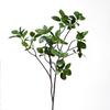 Hojas de Plantas Artificiales, Hojas de Ficus, Hojas de Yuca, Hojas de Eucalipto para Fotografía de Bodas, Decoración del Hogar, Decoración de Exhibiciones