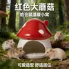 Nido Cerámico para Hámster Transfronterizo Suministros de Verano Oso Dorado Almohadilla de Hielo Refrigerante Tienda Refugio Grande Paisajismo Universal Cuatro Estaciones