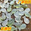 Venta al por mayor de fabricantes de peces de jade natural con patrón martillado, accesorios hechos a mano como aretes, pulseras, collares y pasadores para el cabello