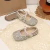 Zapatos de princesa para niñas, nueva colección de otoño 2026, zapatos de cristal para niños, zapatos de piel para bebé, bailarinas de cristal de ensueño para actuación