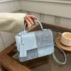 Bolso Pequeño de Diseño de Nicho para Mujer 2024 Invierno Nueva Moda Bolso Cuadrado Pequeño para Viajes Cotidianos Bolso de Hombro con Textura de Alta Calidad