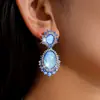 Conjunto de Pendientes Ovalados con Incrustaciones de Diamante y Aguja de Plata Estilo Palacio Vintage Exquisita Joyería Accesorios de Lujo Ligero de Gama Alta para Mujeres