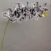 Sensación Simulada 9 Cabezas Phalaenopsis Exportación al por Mayor Modelo de Hogar Escandinavo Habitación de Modelo Hotel Boda Transmisión en Vivo Decoración Accesorios