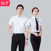 Novas Camisas de Algodão 100% Masculinas e Femininas Primavera e Verão, Camisas Brancas Masculinas de Manga Curta de Alta Qualidade Sem Ferro, Roupa Profissional