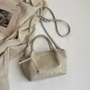 Bolso Nuevo de Primavera Estilo Coreano, Bolso Cruzado Casual para Hombro, Bolso Tejido a Mano de Moda para Mujer, Bolso de Hombro Casual