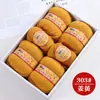 Bolas de Hilo de Lana de Gama Alta Shanghai Sanli Venta al por Mayor Lana de Cabra Pura de Grosor Medio Genuina para Bufandas de Tejer DIY Hechas a Mano