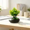 Suministro Directo Transfronterizo Mini Plantas Verdes Flores Falsas Plantas en Maceta Simulación Piedras Decorativas Maceta Plana Adornos Fotografía Foto Mini Bonsái Accesorios