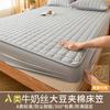 2025 Sábana Impermeable a Prueba de Orina Pieza Única Cubierta de Cama Protector de Colchón Acolchado Universal para Todas las Estaciones Verano Clase A Antibacteriano