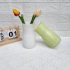 Nuevo Jarrón de Vidrio Crema Estilo Chino Decoraciones de Diseño para el Hogar Adornos de Jarrón Creativo Hidropónico Jarrón Popular en Internet ins