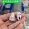 Caracol Taro Manchado Pequeño Decoración Natural para el Hogar y el Piso Adornos Botella a la Deriva Acuario Paisajismo Colección de Muestras Regalo
