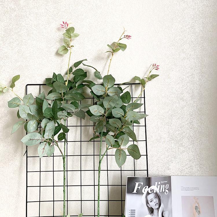 QQ图片20200703205329