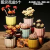 Vaso de Flor Suculenta Cerâmica Preço Especial Liquidação Esmaltado Tamanhos Grande e Pequeno Simples Pastoral Mesa Vasos de Barro Respirável Plantas Leede Estoque