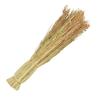 Venta al por mayor de fábrica para el hogar sorgo plántula arroz para cepillar la olla red de cepillado de plántulas de arroz pilón de plántulas de arroz cepillo para olla tazón para aceite sorgo rojo cepillo para olla pequeños regalos