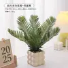 Plantas Verdes, Vasos Pequenos, Árvore da Fortuna Semelhante para Mesas de Escritório Internas, Mesas de Centro de Sala de Estar, Flores Artificiais e Arranjos Florais