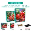 Granada de Semilla Suave Caja de Regalo Universal Caja de Embalaje Estampado en Caliente Tunecina Caja de Regalo de Fruta de Alta Gama 6 Piezas 8 Piezas 9 Piezas Cartón Vacío