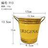 Balde de Ferro Colorido para Pendurar da Amazon, Balde para Flores, Planta Verde, Suculenta, Vaso de Ferro, Vaso Suspenso, Casa Retro, Varanda, Vaso Suspenso