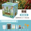 Pequeño Agricultor de Flores Estudiante Paquete de Material de Apoyo para Plantación Experimental Frutas y Verduras Girasol Tomate Impatiens Observación del Crecimiento de Plantas