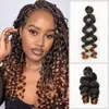 Trenzas de Ganchillo Rizadas Italianas de 12 pulgadas Peluca Africana
