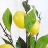 Limón artificial fresco, accesorios de tiro, decoración transfronteriza, flor artificial, decoración floral suave para el hogar, fruta artificial