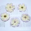 DIY feito à mão flor artificial lisa flor flor de casamento parede de flores corsage pintura a óleo decorativa flor estrela fábrica atacado