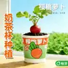 Pequeños Regalos para la Temporada de Regreso a Clases: Caja Misteriosa de Planta de Té con Leche, Pequeños Regalos de Recompensa para Estudiantes de Primaria, Mini Plantas Verdes en Maceta