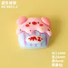 Acessórios DIY de Resina de Porco e Gato Desenho Animado para Capas de Celular, Tamancos, Presilhas de Cabelo, Garrafas de Água e Ímãs de Geladeira Atacado