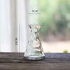 Jarrón de Vidrio Transparente de Diámetro Pequeño tamaño pequeño Jarrón para Flores Arreglo Floral Hidropónico Decoración de Mesa Fresca Estilo Japonés Simple