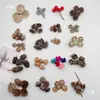 Fruta Fixa Natural Planta Fruta Casca Espécime Material Decoração Flores Secas Fatias Jardim de Infância DIY Pacote de Material de Natal