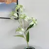 2026 Nuevo Modelo Plantas Verdes Artificiales Hierba de Espárrago Asparagus Asparaginea Decoración de Boda Flores Falsas Verdes Paisajismo Fotografía Plantas Verdes Estilo Bosque