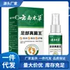 Atacado de Fabricantes Apamp Yunnan Matéria Médica Jiaoqi Fungo Rei Peça Única Dropshipping