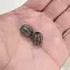 Accesorios de Joyería de Aleación Gunmetal con el Personaje'' (Fortuna), Monedas de Dinero,'' (Riqueza de Todas las Direcciones), Mantra de Seis Palabras, Cuentas Espaciadoras, Cuentas Sueltas, Cuentas Individuales, Accesorios DIY