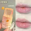 Novo Protetor Labial de Outono e Inverno, Hidratante, Previne o Ressecamento, Reduz Linhas Labiais, Hidrata os Lábios para Mulheres, Esfolia a Pele Morta, Não Gruda Facilmente no Copo